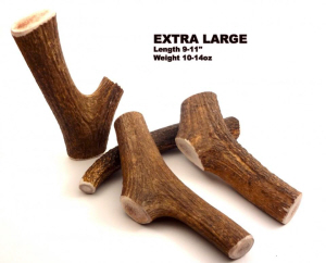 extra large 1