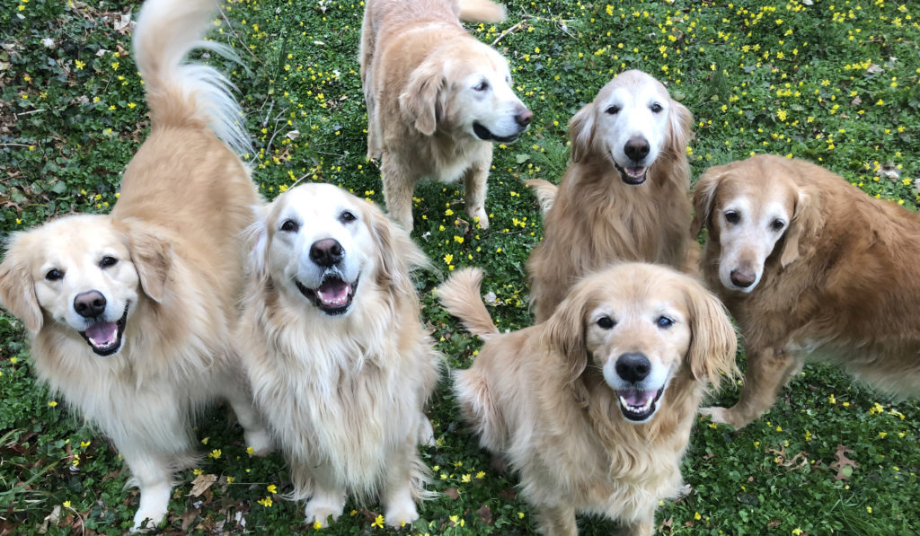 squad